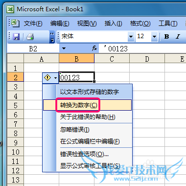 excel2003ǰôʾ0