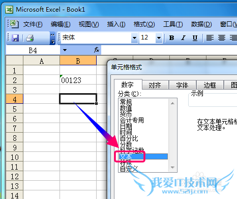 excel2003ǰôʾ0