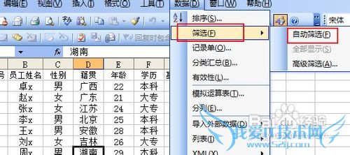 ExcelÔõÑù×Ô¶¨Òåɸѡ