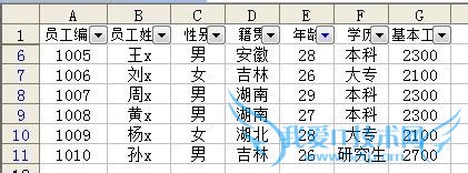 ExcelÔõÑù×Ô¶¨Òåɸѡ
