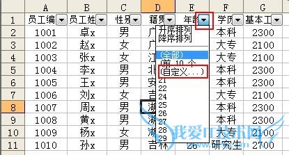 ExcelÔõÑù×Ô¶¨Òåɸѡ