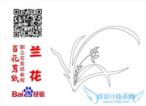 百花剪纸教程 兰花2(阴阳剪)刘立宏一剪刀剪纸