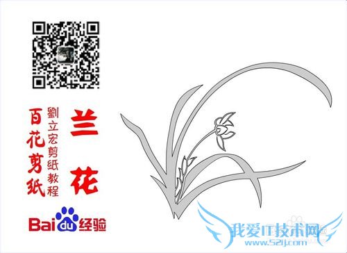 百花剪纸教程 兰花2(阴阳剪)刘立宏一剪刀剪纸
