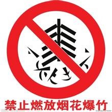 燃放烟花爆竹应注意什么