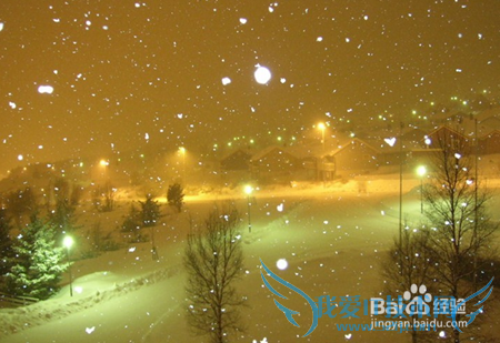 雪给我们带来了怎样的惊喜