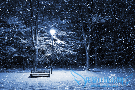 雪给我们带来了怎样的惊喜