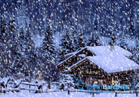 雪给我们带来了怎样的惊喜