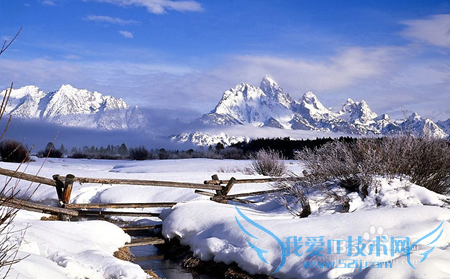 雪给我们带来了怎样的惊喜