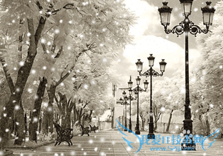 雪给我们带来了怎样的惊喜