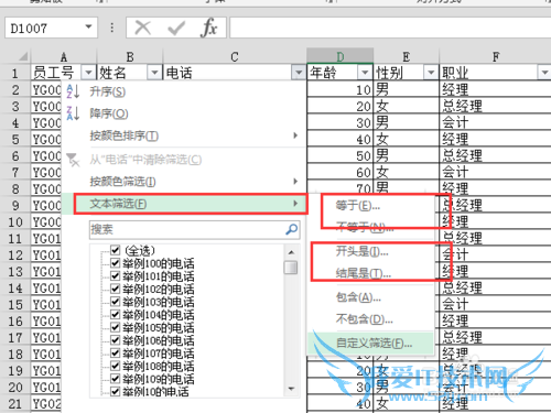 Excel2013ɸѡʹð