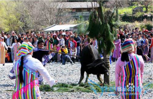 独龙族过年习俗有什么特色活动呢?