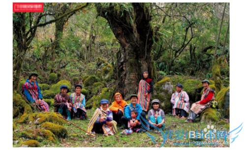 独龙族过年习俗有什么特色活动呢?