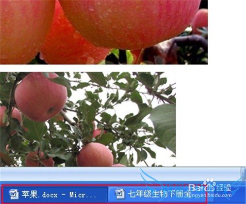 word2007ֻرյǰڲرȫ