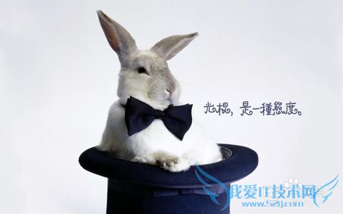 光棍如何度过圣诞节