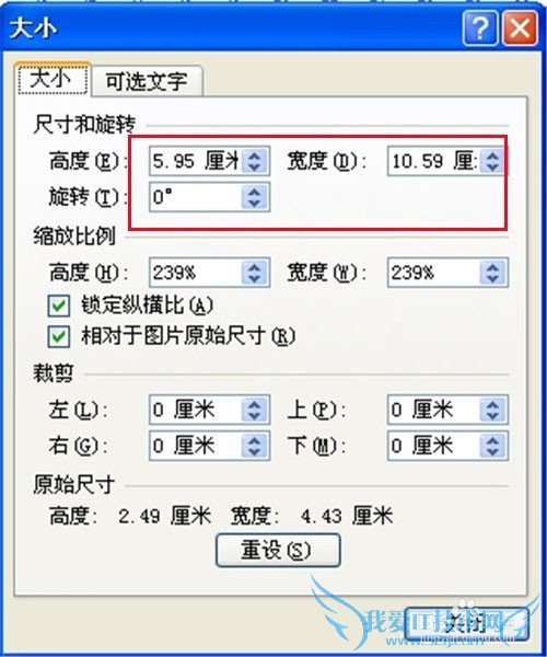 Word 2010如何修改图片尺寸