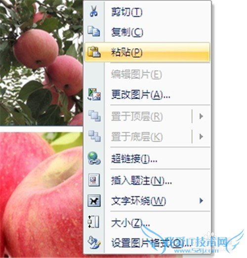 Word 2010如何修改图片尺寸