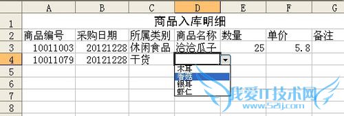 用Excel分类数据选择录入