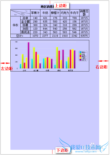 ͳͼFineReport̳̣[11]ҳ