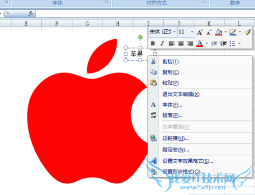 excel2007插入的图片上如何添加文字?