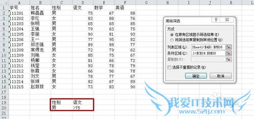 Microsoft Excel 2010и߼ɸѡʹ