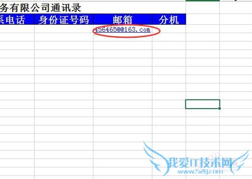 公司花名册字段编辑
