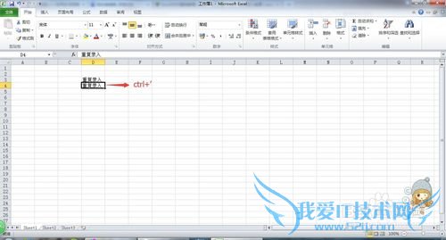 Excel2010[13]¼뼼