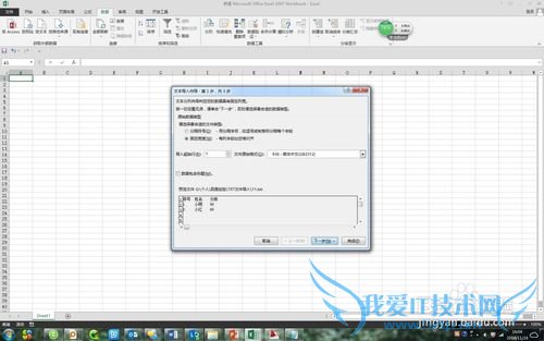 TXT文件按照规定格式导入EXCEL经验分享