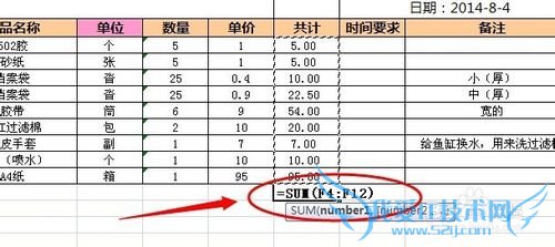 Excel求和结果总是显示公式怎么办