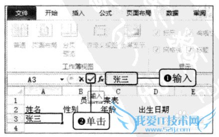 Excel2010在编辑栏中输入文本数据的操作