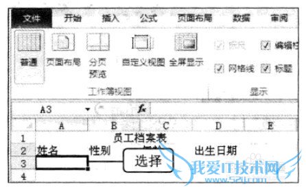 Excel2010在编辑栏中输入文本数据的操作