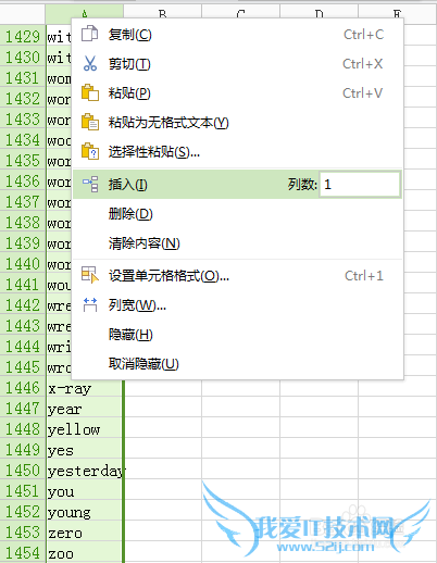 excel在每一行的后面插入一空白行的快速方法