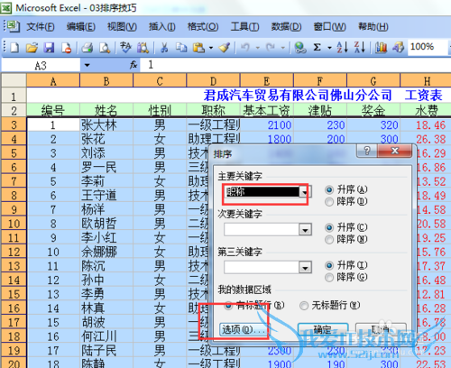 excel排序技巧大全(二)