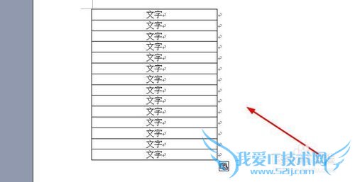 将excel转换成word