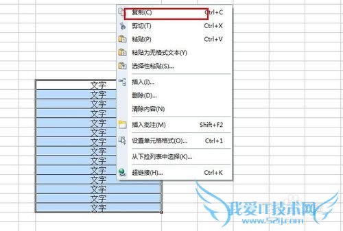 将excel转换成word