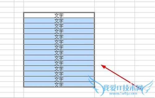 将excel转换成word