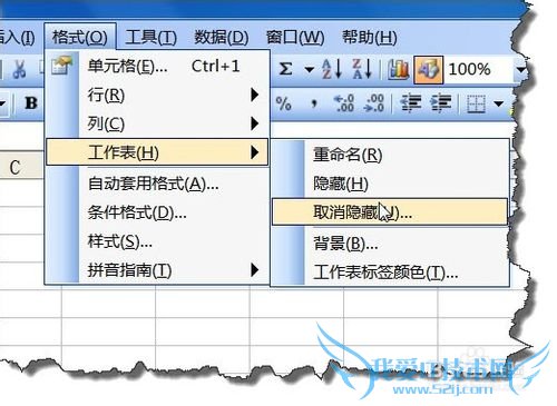 Excel中如何显示或隐藏工作表标签呢?