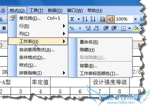 Excel中如何显示或隐藏工作表标签呢?