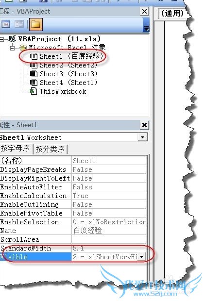 Excel中如何显示或隐藏工作表标签呢?