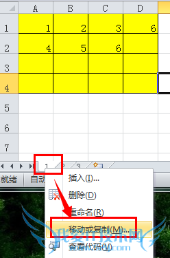 excel表格的移动与复制