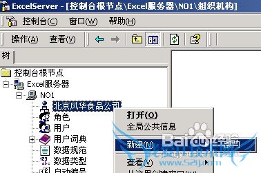 利用excel终端服务器怎样定义组织机构?