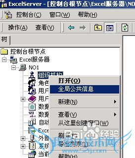 利用excel终端服务器怎样定义组织机构?
