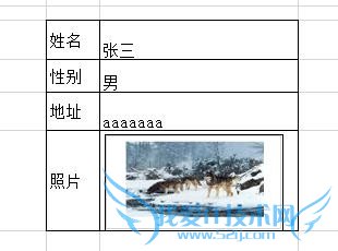 excel制作带照片的信息查询表