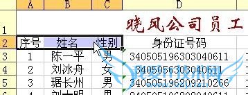 EXCELʹСɣ[6]øӱ߿