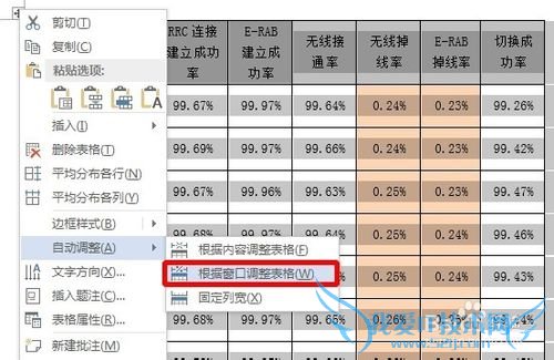 EXCEL表格复制到WORD中如何保持美观