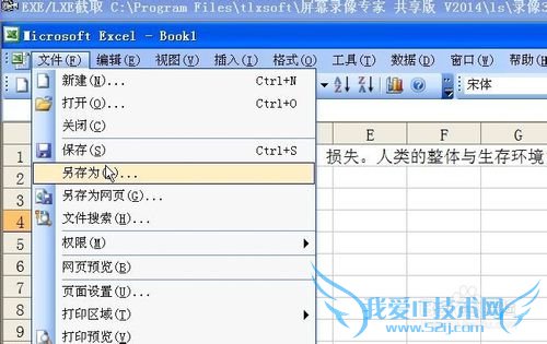 利用Microsoft Excel导出txt文本