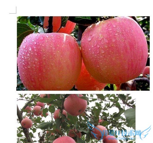 如何批量提取Word文档中的图片