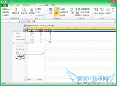 Excelѧϰ[1]Excelɸѡķ