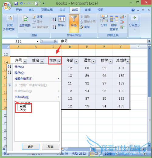 excel2007νи߼ɸѡҸɸѡ