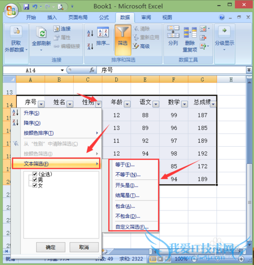 excel2007νи߼ɸѡҸɸѡ