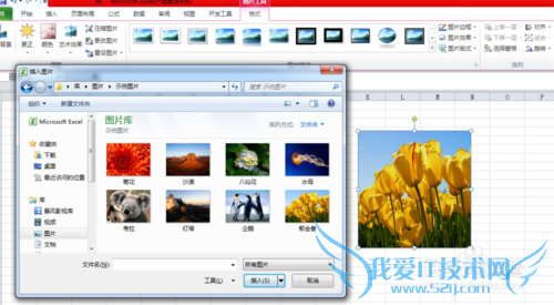 excel中图片调整的众多技巧